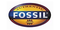fossil pozzuoli